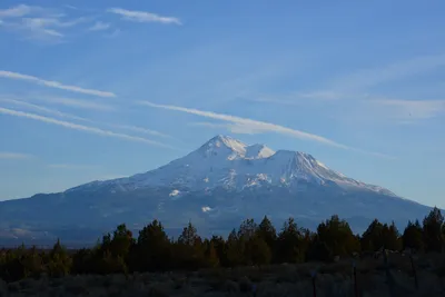 DSC_3050 (Large).JPG